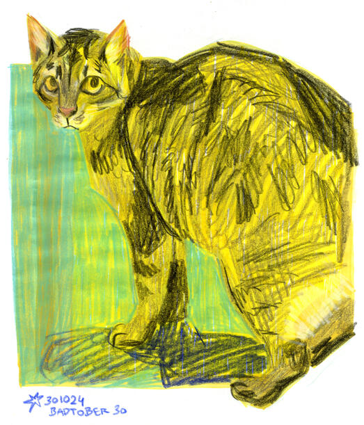 Day 30: cat / coloured pencils, alcohol marker