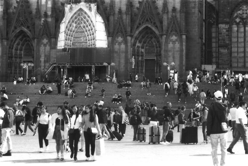 Cologne / 08/2024